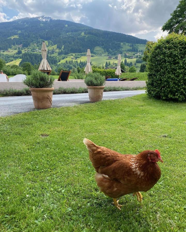 Landhaus Angerhof バート・ホーフガシュタイン エクステリア 写真